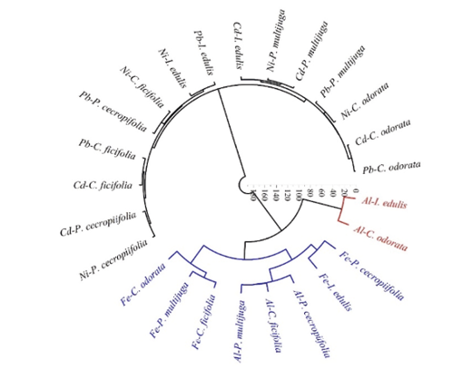 Gráfico

Descripción generada automáticamente